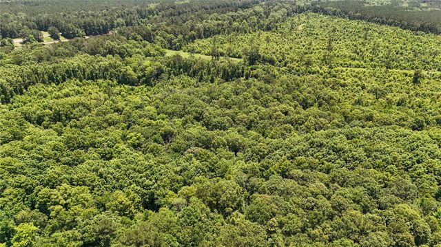 TBD Hickman Rd, Burkeville, TX 75932