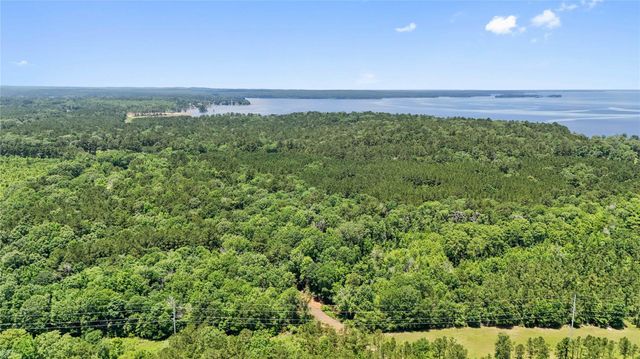 TBD Hickman Rd, Burkeville, TX 75932