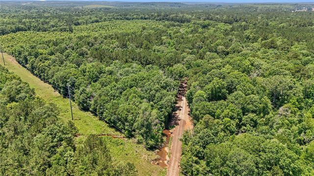 TBD Hickman Rd, Burkeville, TX 75932