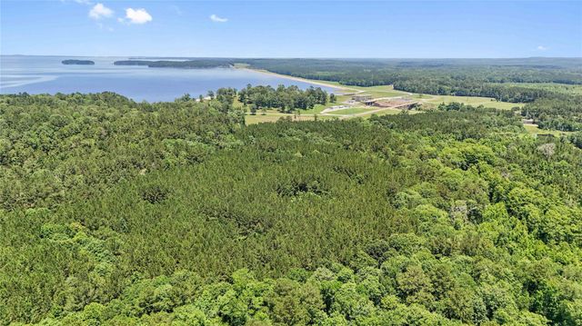 TBD Hickman Rd, Burkeville, TX 75932