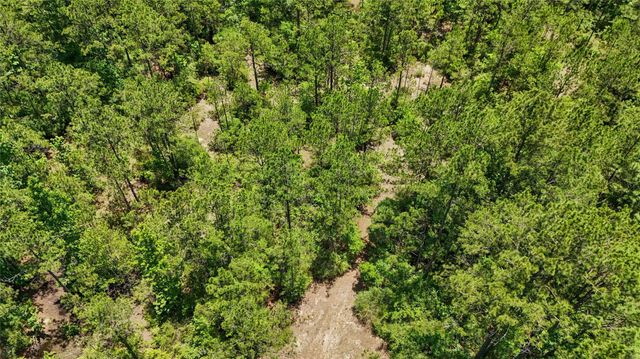 TBD Hickman Rd, Burkeville, TX 75932