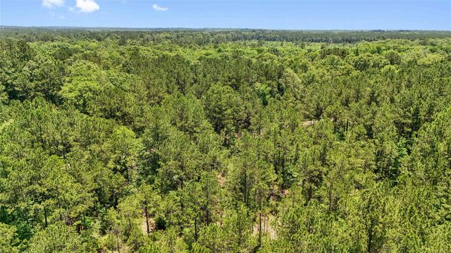 TBD Hickman Rd, Burkeville, TX 75932