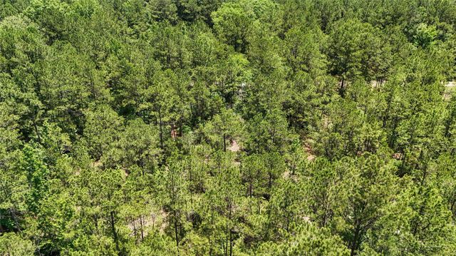 TBD Hickman Rd, Burkeville, TX 75932