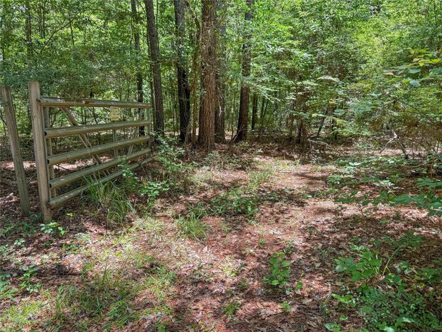 TBD Hickman Rd, Burkeville, TX 75932