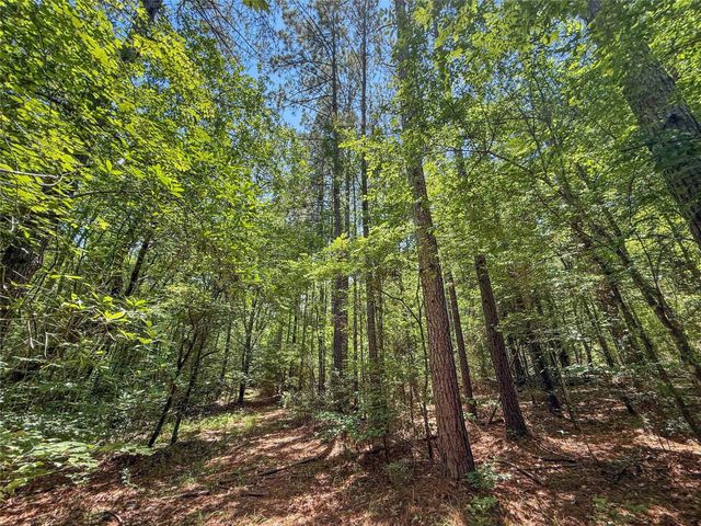 TBD Hickman Rd, Burkeville, TX 75932