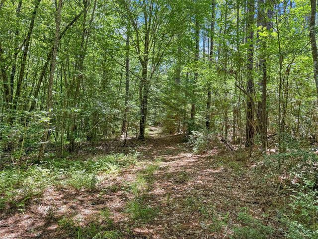 TBD Hickman Rd, Burkeville, TX 75932