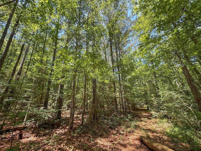 TBD Hickman Rd, Burkeville, TX 75932