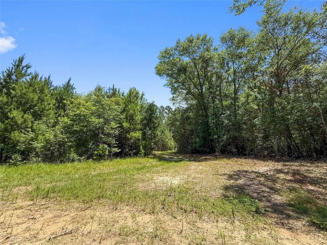 TBD Hickman Rd, Burkeville, TX 75932