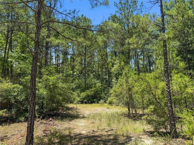 TBD Hickman Rd, Burkeville, TX 75932