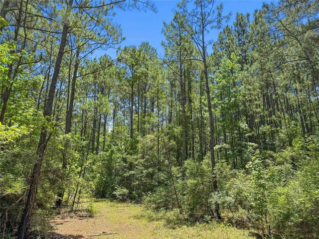 TBD Hickman Rd, Burkeville, TX 75932