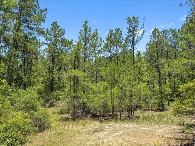 TBD Hickman Rd, Burkeville, TX 75932