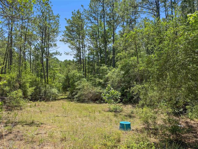 TBD Hickman Rd, Burkeville, TX 75932