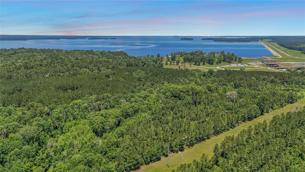 TBD Hickman Rd, Burkeville, TX 75932