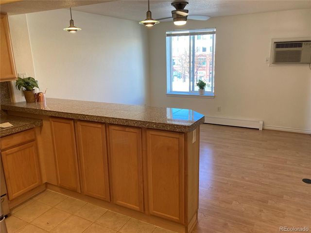 1833 N Williams Street 401, Denver, CO 80218