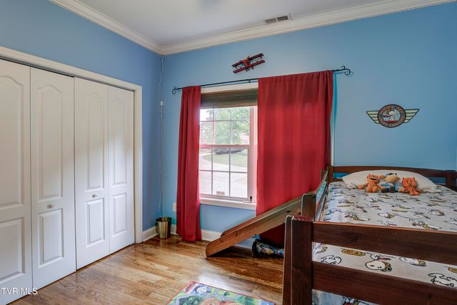 194 Sunset Meadows Court, Gray, TN 37615