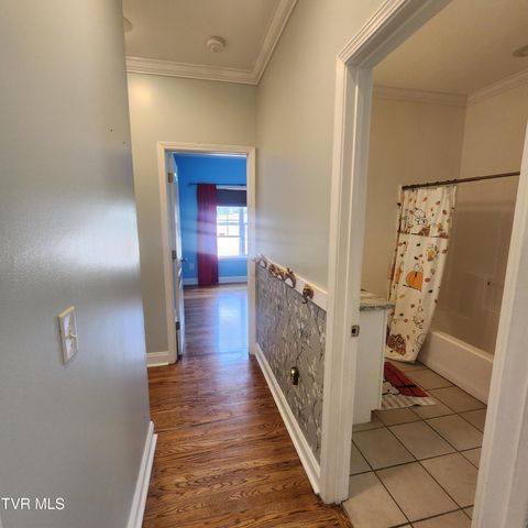 194 Sunset Meadows Court, Gray, TN 37615