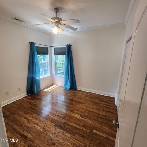 194 Sunset Meadows Court, Gray, TN 37615