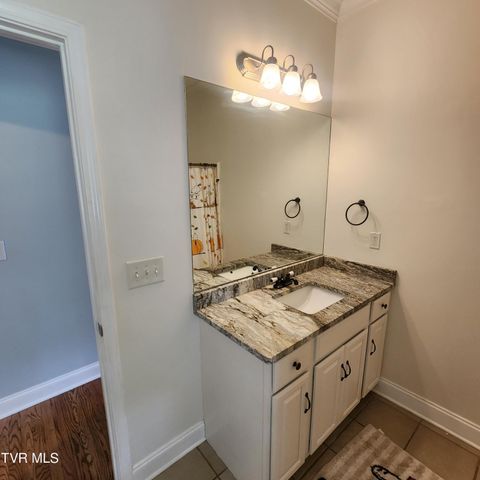 194 Sunset Meadows Court, Gray, TN 37615