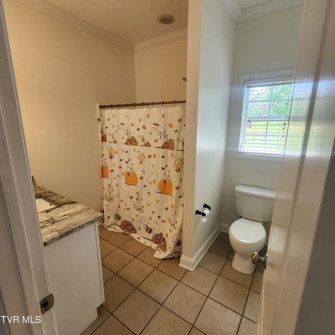 194 Sunset Meadows Court, Gray, TN 37615