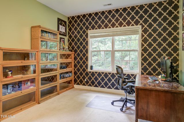 194 Sunset Meadows Court, Gray, TN 37615