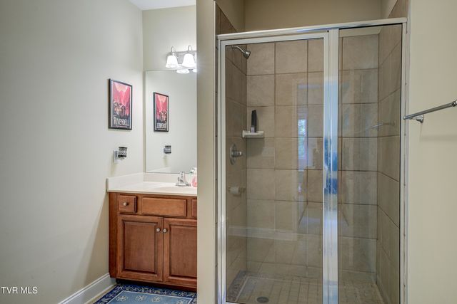 194 Sunset Meadows Court, Gray, TN 37615