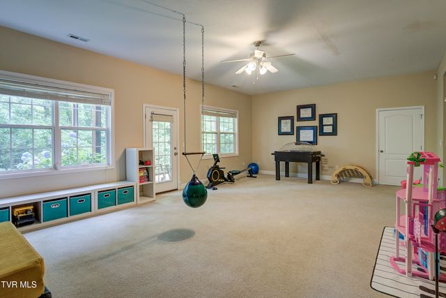 194 Sunset Meadows Court, Gray, TN 37615