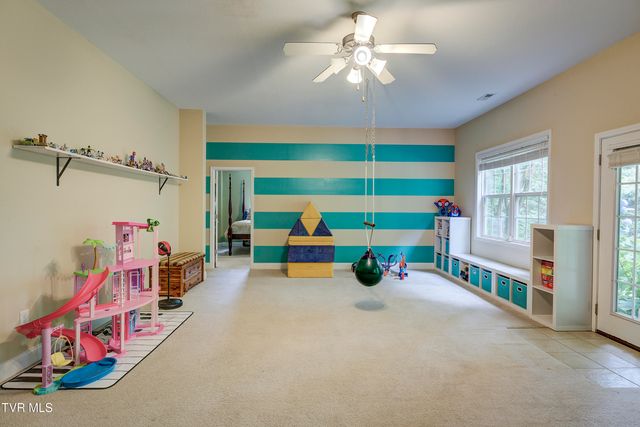 194 Sunset Meadows Court, Gray, TN 37615