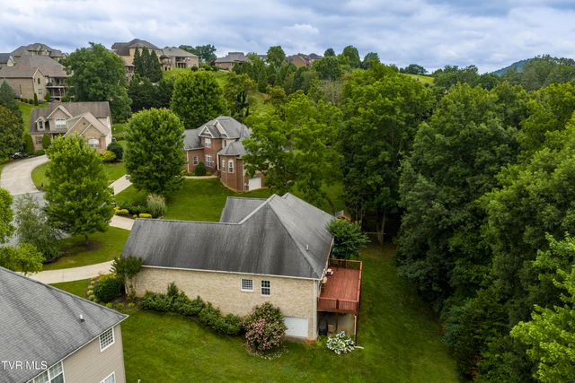 194 Sunset Meadows Court, Gray, TN 37615