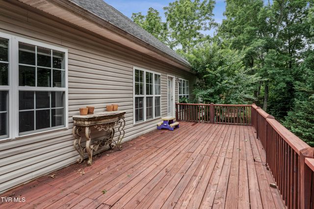 194 Sunset Meadows Court, Gray, TN 37615