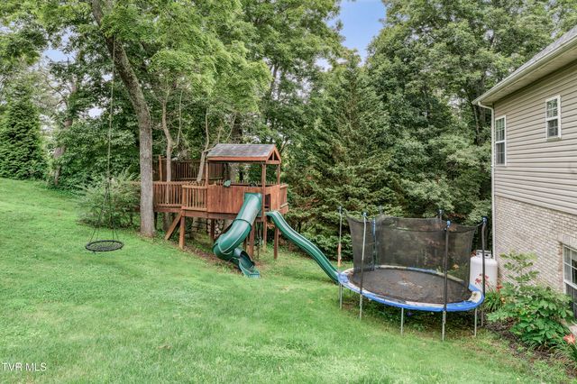 194 Sunset Meadows Court, Gray, TN 37615