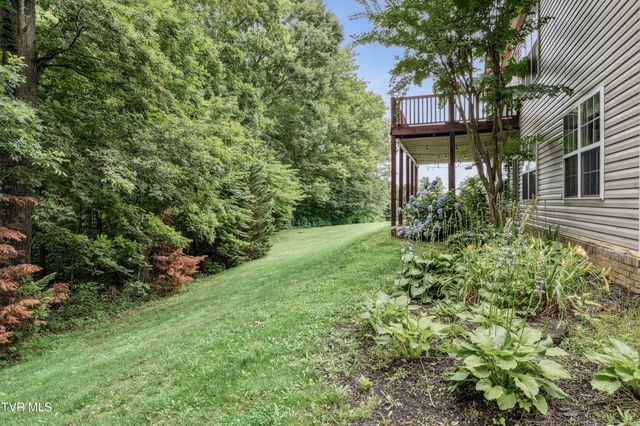 194 Sunset Meadows Court, Gray, TN 37615