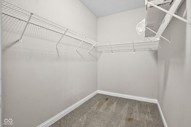 1019 Stallion Court, Indianapolis, IN 46260