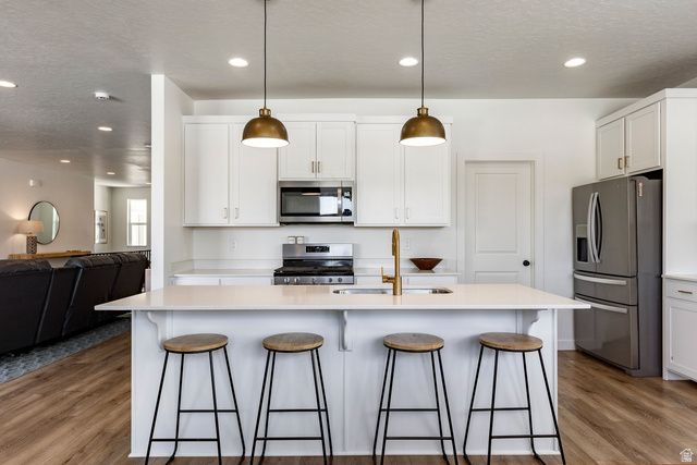 712 W BLUE MOUNTAIN DR, Saratoga Springs, UT 84045