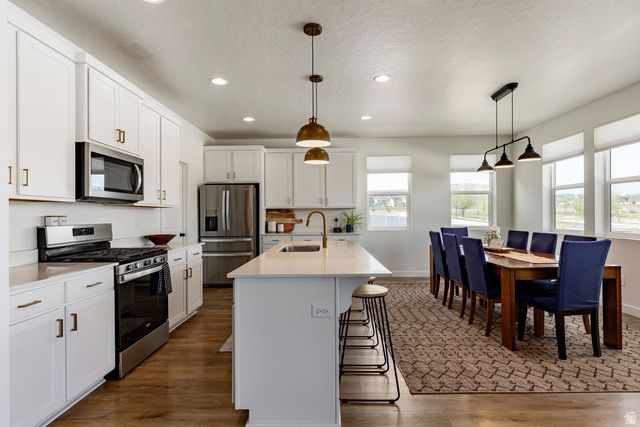 712 W BLUE MOUNTAIN DR, Saratoga Springs, UT 84045