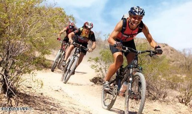 12515 S 176TH Avenue, Goodyear, AZ 85338