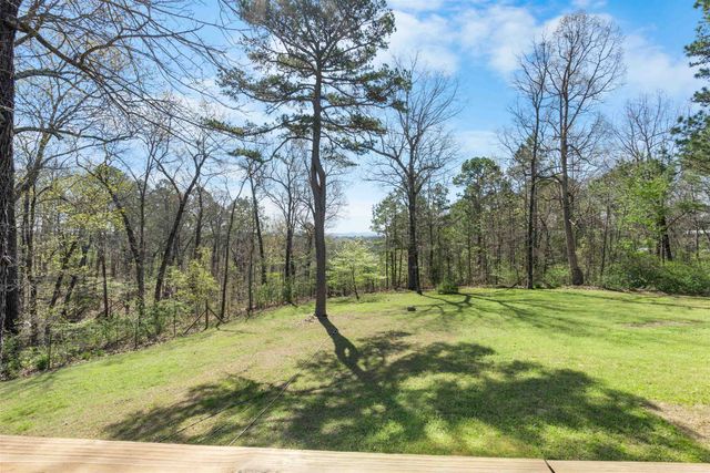 89 Old Staggs Road, Calico Rock, AR 72519