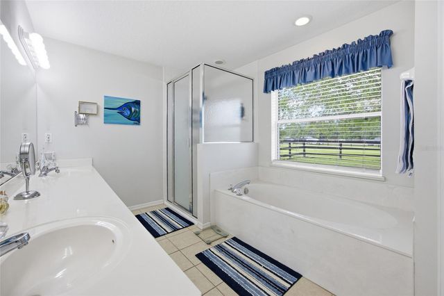 19630 SE 15TH PLACE, Morriston, FL 32668
