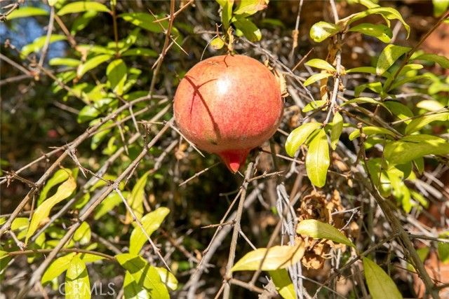 7419 Kraft, North Hollywood (los Angeles), CA 91605