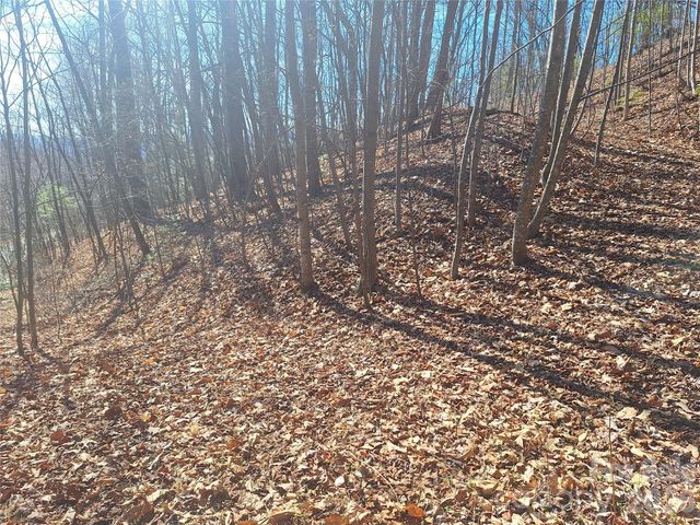 965 Wolf Pen Road, Old Fort, NC 28762