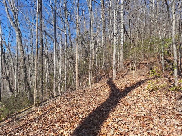 965 Wolf Pen Road, Old Fort, NC 28762