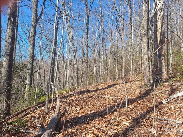 965 Wolf Pen Road, Old Fort, NC 28762