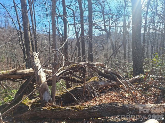 965 Wolf Pen Road, Old Fort, NC 28762