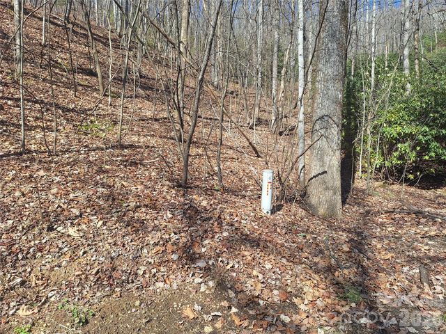 965 Wolf Pen Road, Old Fort, NC 28762