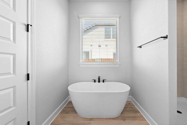 17224 Autumn Falls DR, Manor, TX 78653