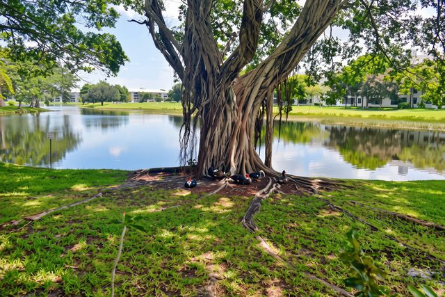 9311 Orange Grove Drive 109, Davie, FL 33324