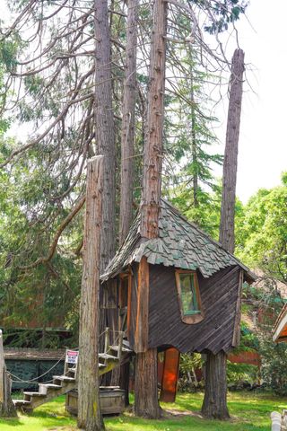 35859 Road 222, Wishon, CA 93669
