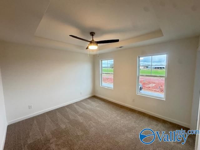 12092 Chilly Drive, Madison, AL 35756