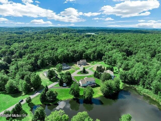 14 Westfall Court, Sand Lake, NY 12018