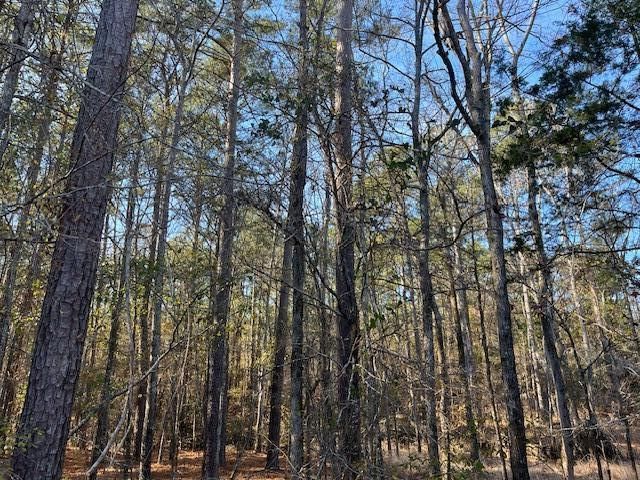 3015 Timber Woods Drive, Appling, GA 30802