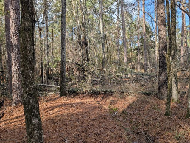 3015 Timber Woods Drive, Appling, GA 30802